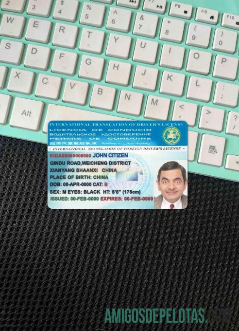 Tradução Internacional de Carteira de Habilitação fotolook frente exemplo real